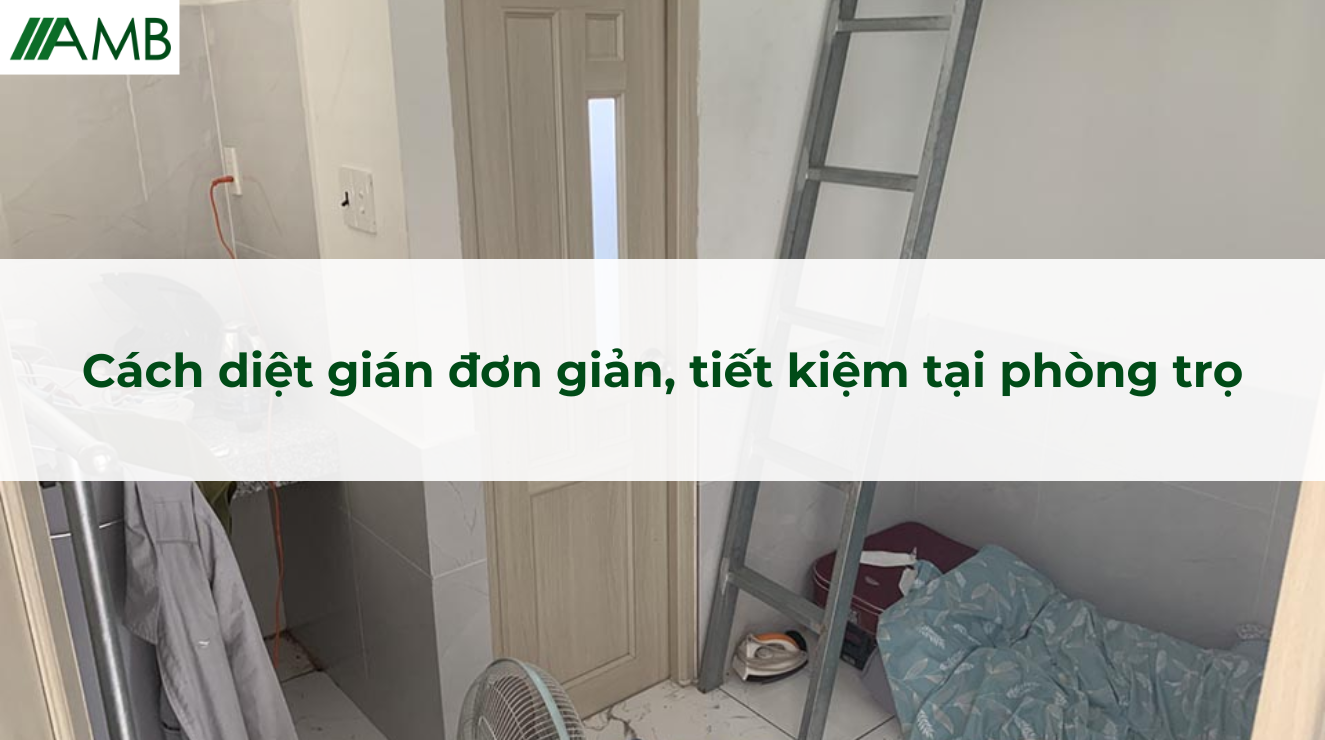 Cách diệt gián đơn giản, tiết kiệm tại phòng trọ