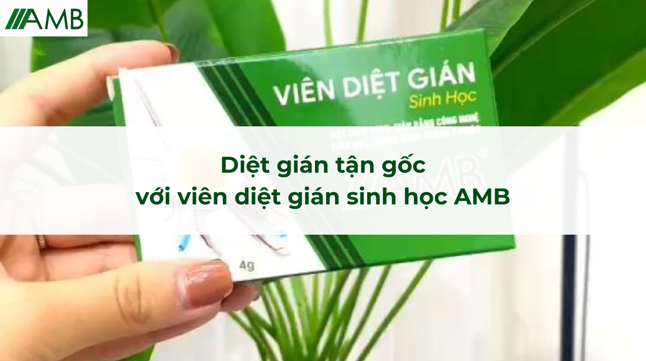 Diệt gián tận gốc với viên diệt gián sinh học AMB