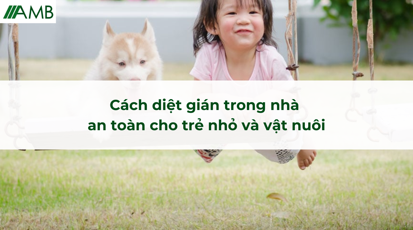 Cách diệt gián trong nhà an toàn cho trẻ nhỏ và vật nuôi