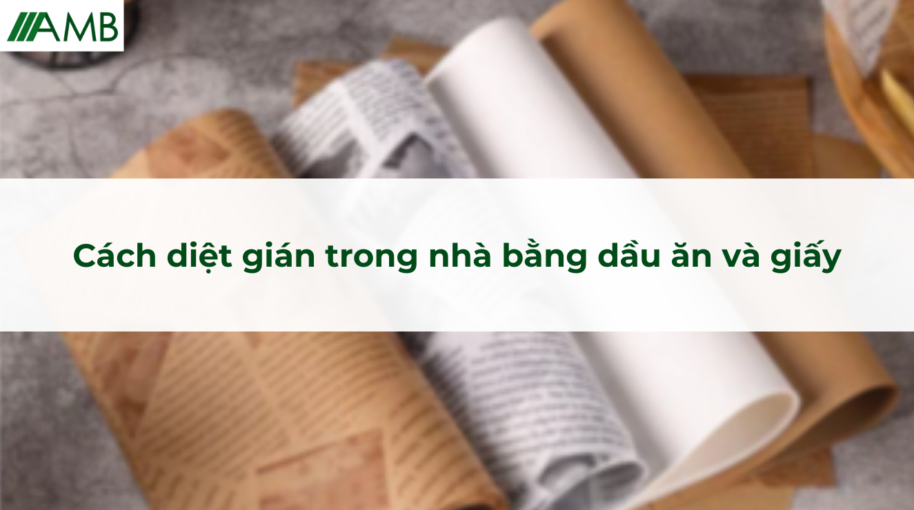 Cách diệt gián trong nhà bằng dầu ăn và giấy