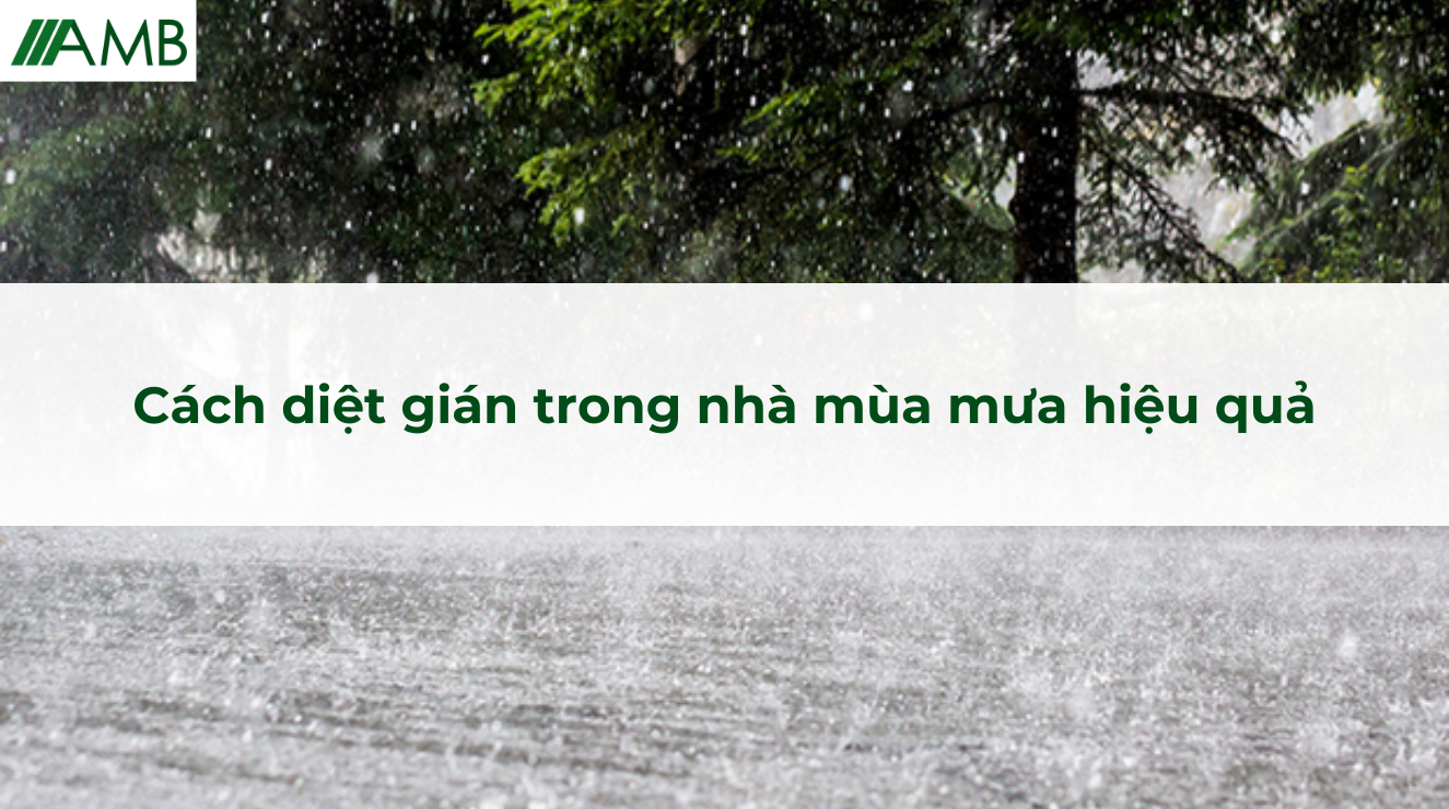 Cách diệt gián trong nhà mùa mưa hiệu quả