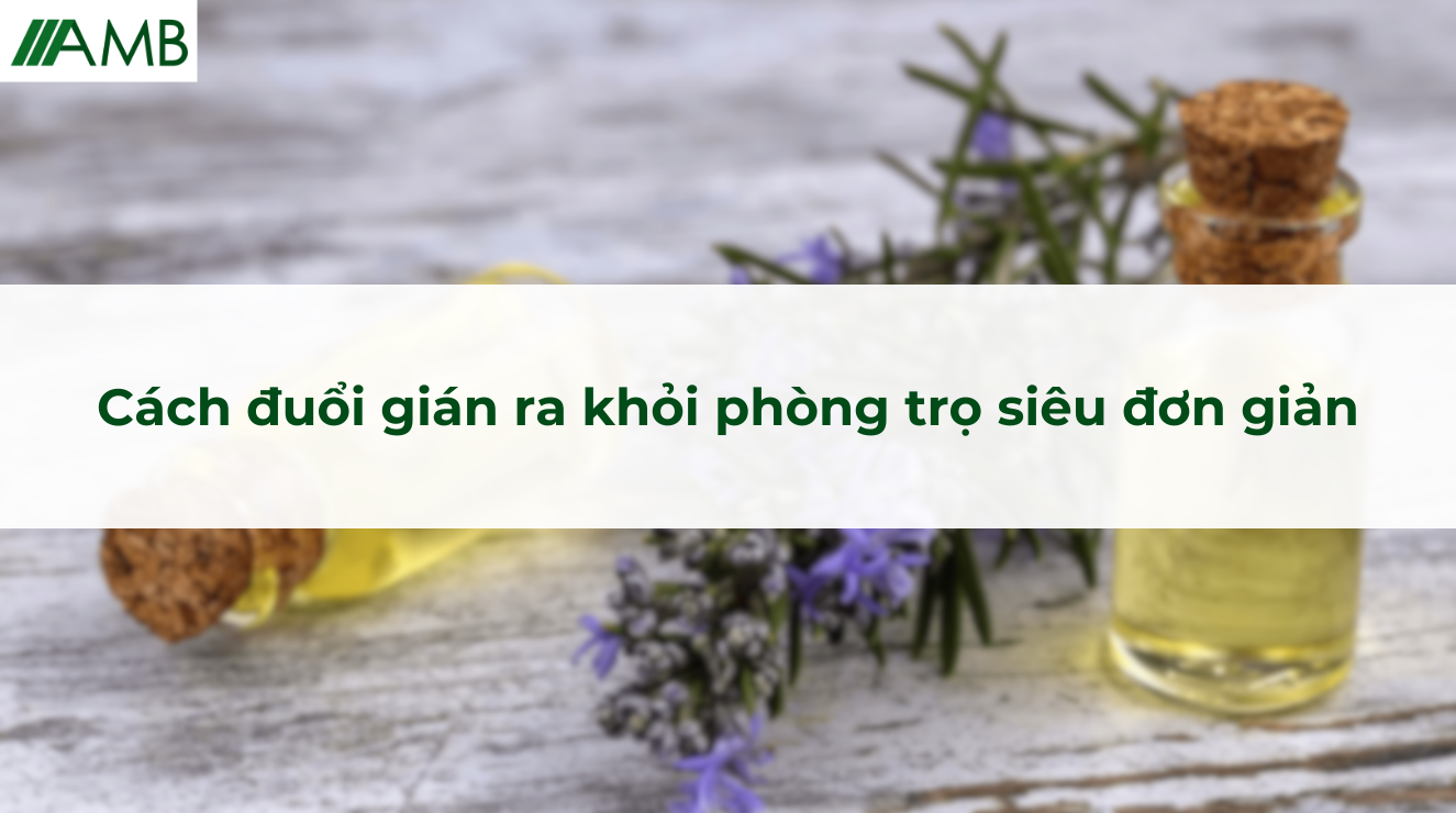 Cách đuổi gián ra khỏi phòng trọ siêu đơn giản