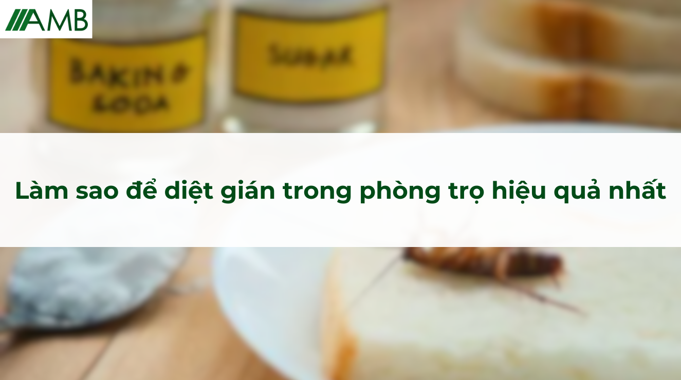 Làm sao để diệt gián trong phòng trọ hiệu quả nhất