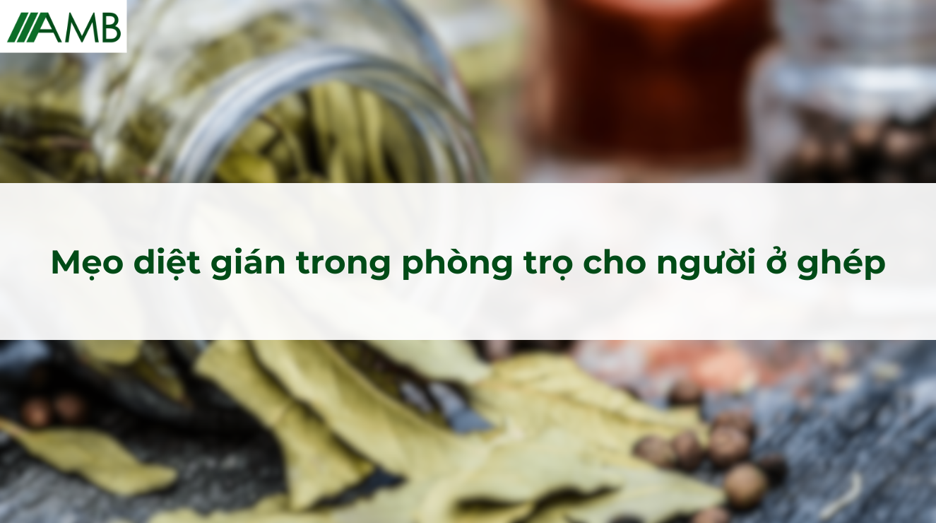 Mẹo diệt gián trong phòng trọ cho người ở ghép