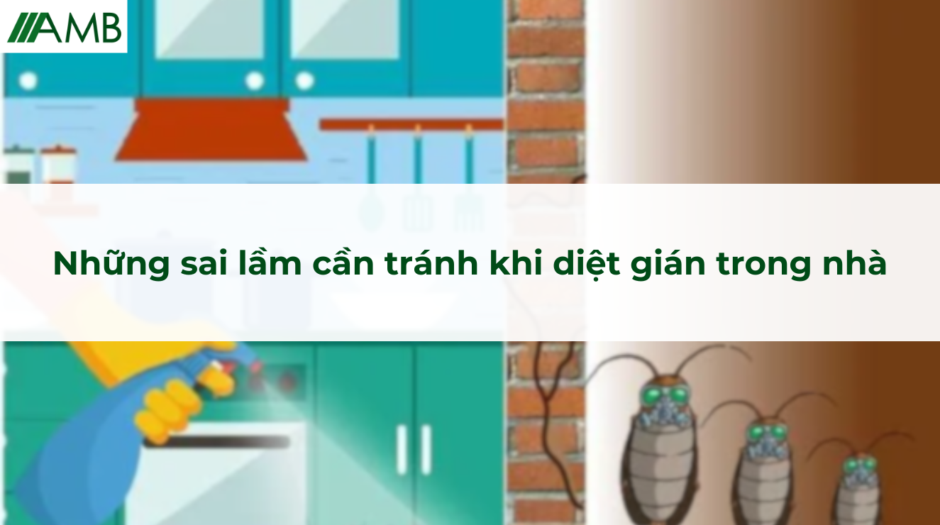 Những sai lầm cần tránh khi diệt gián trong nhà