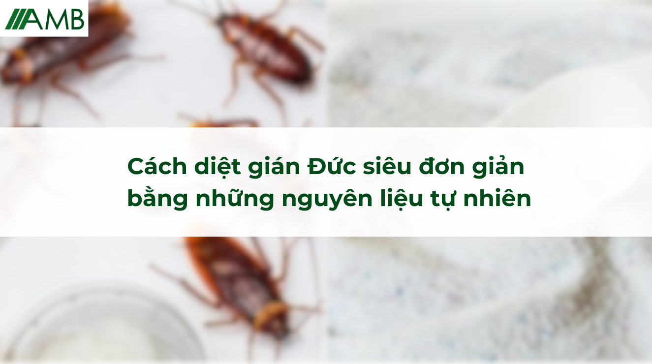 Cách diệt gián Đức siêu đơn giản bằng những nguyên liệu tự nhiên