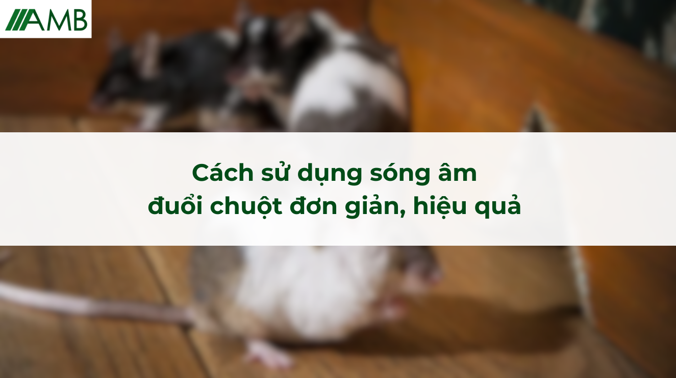 Cách sử dụng sóng âm đuổi chuột đơn giản, hiệu quả