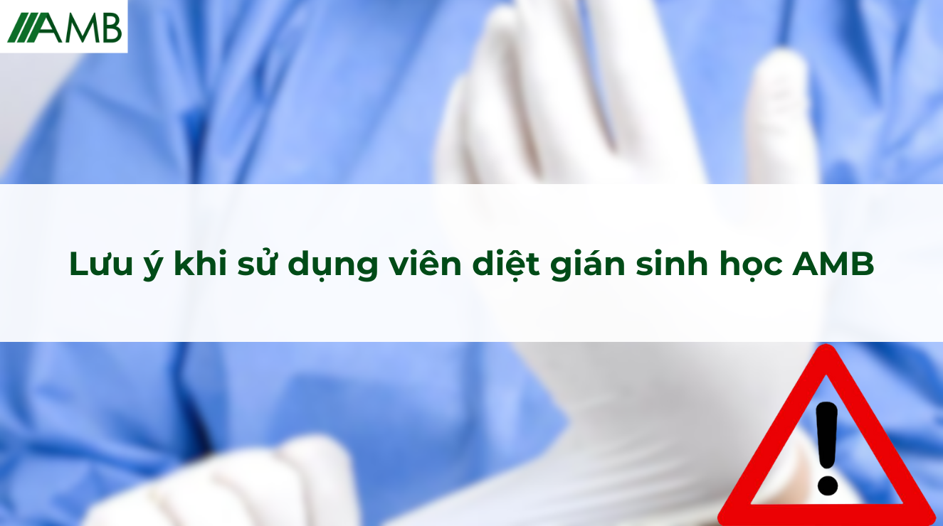 Lưu ý khi sử dụng viên diệt gián sinh học AMB