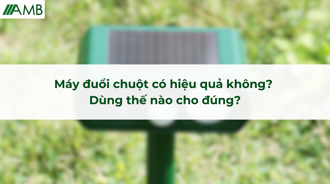 Máy đuổi chuột có hiệu quả không Dùng thế nào cho đúng