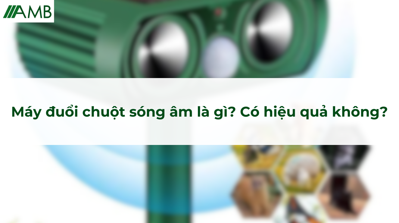 Máy đuổi chuột sóng âm là gì? Có hiệu quả không?