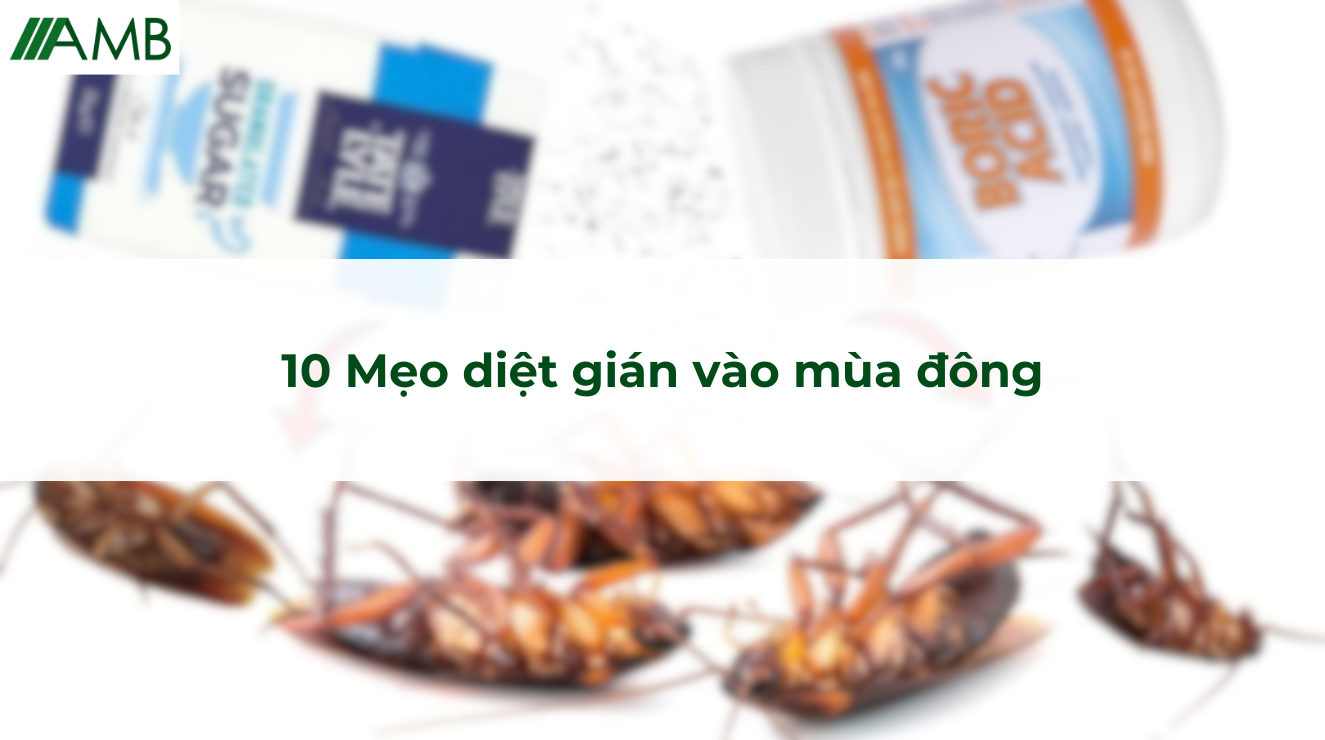 10 Mẹo diệt gián vào mùa đông