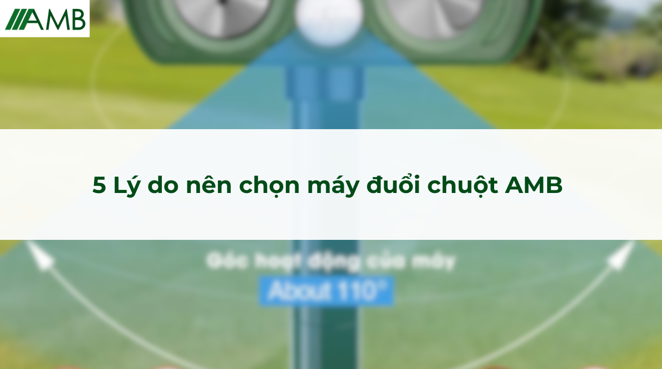 5 Lý do nên chọn máy đuổi chuột AMB