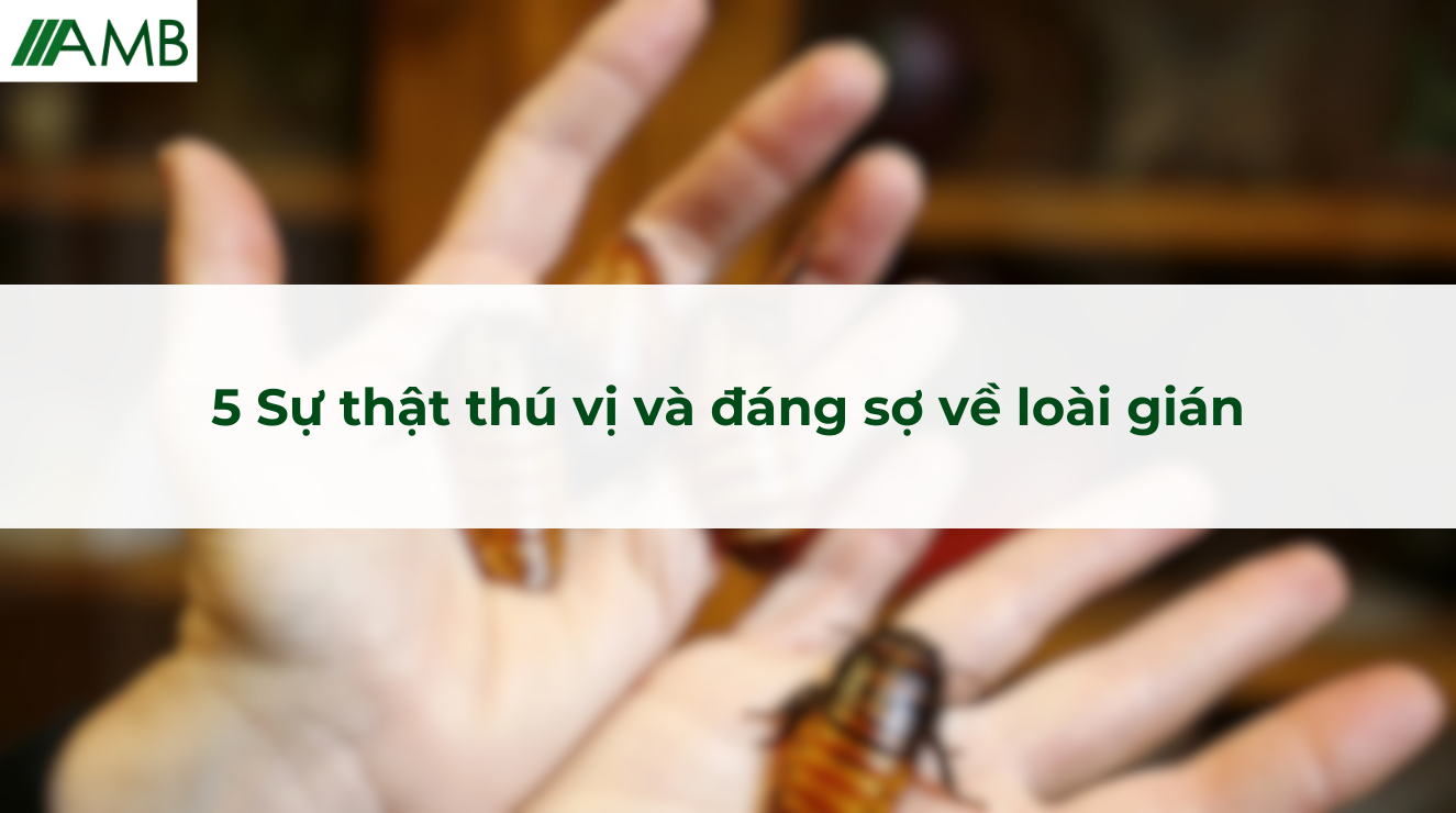 5 Sự thật thú vị và đáng sợ về loài gián