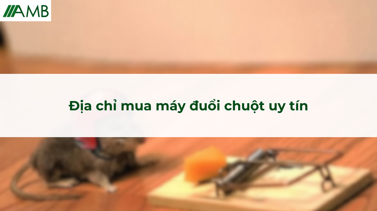 Địa chỉ mua máy đuổi chuột uy tín
