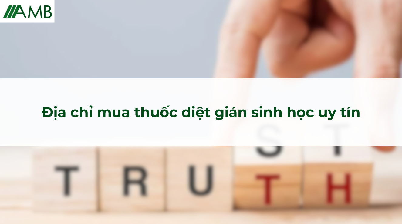 Địa chỉ mua thuốc diệt gián sinh học uy tín