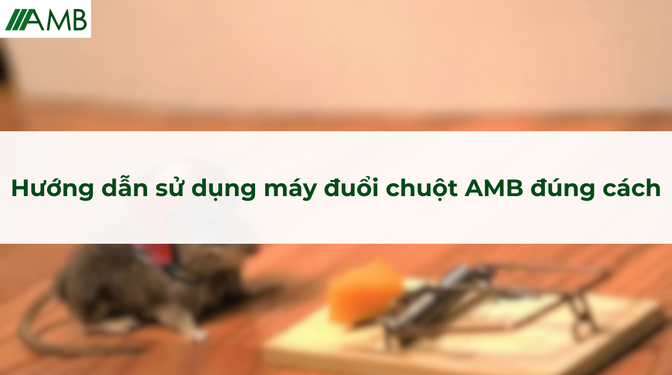 Hướng dẫn sử dụng máy đuổi chuột AMB đúng cách