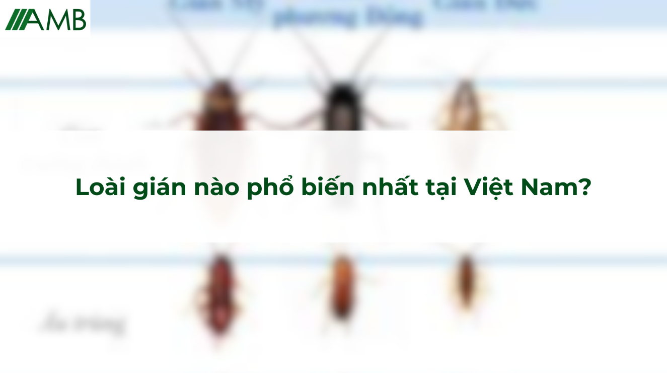 Loài gián nào phổ biến nhất tại Việt Nam