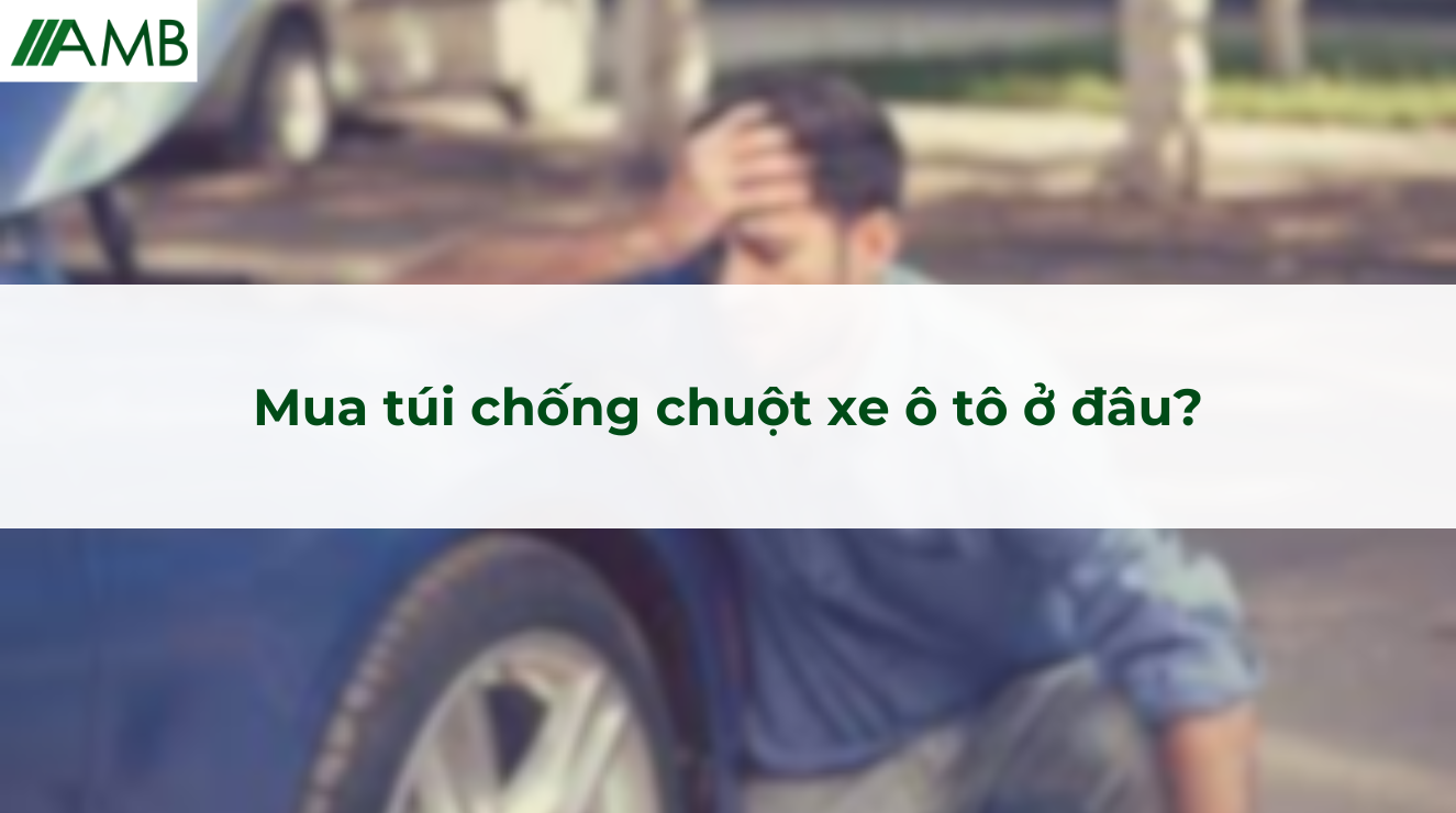 Mua túi chống chuột xe ô tô ở đâu