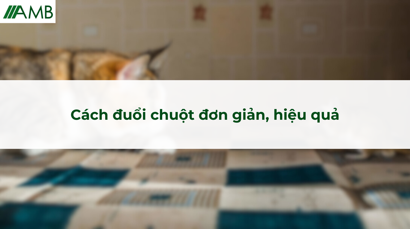 Cách đuổi chuột đơn giản, hiệu quả