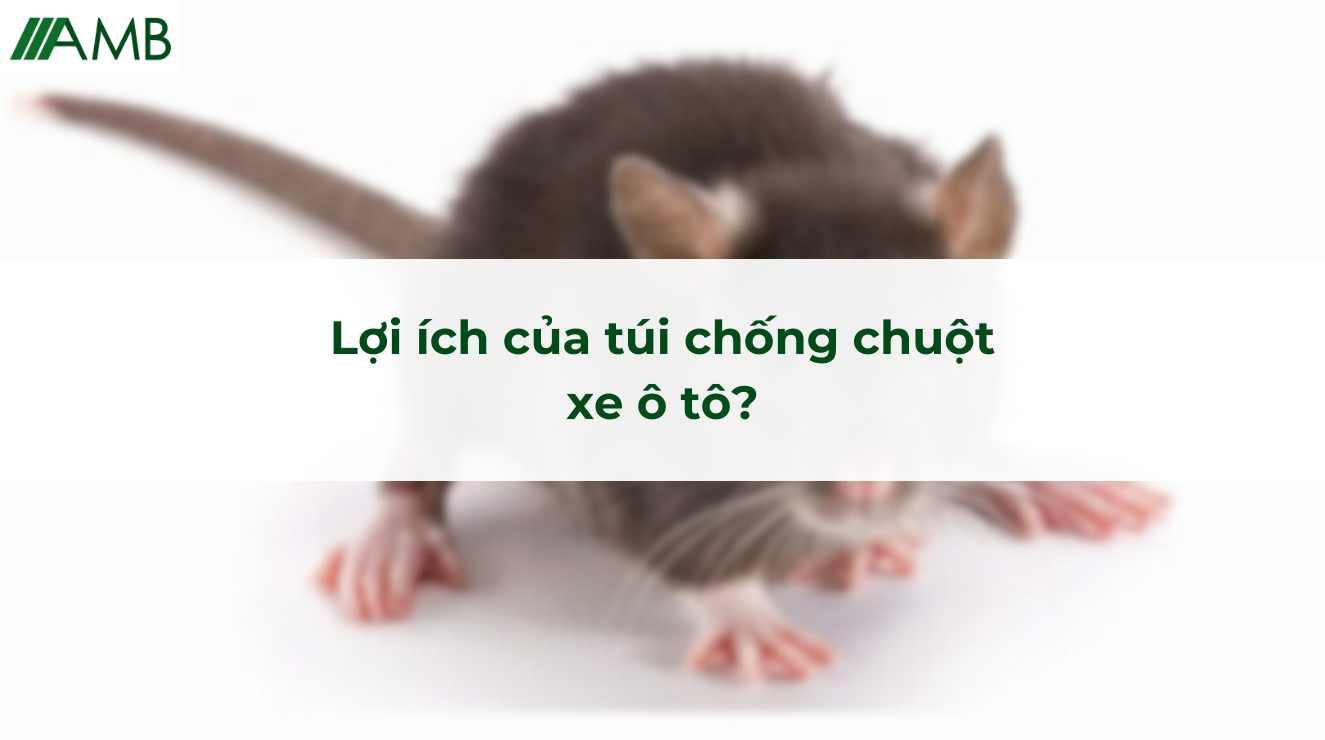 Lợi ích của túi chống chuột xe ô tô