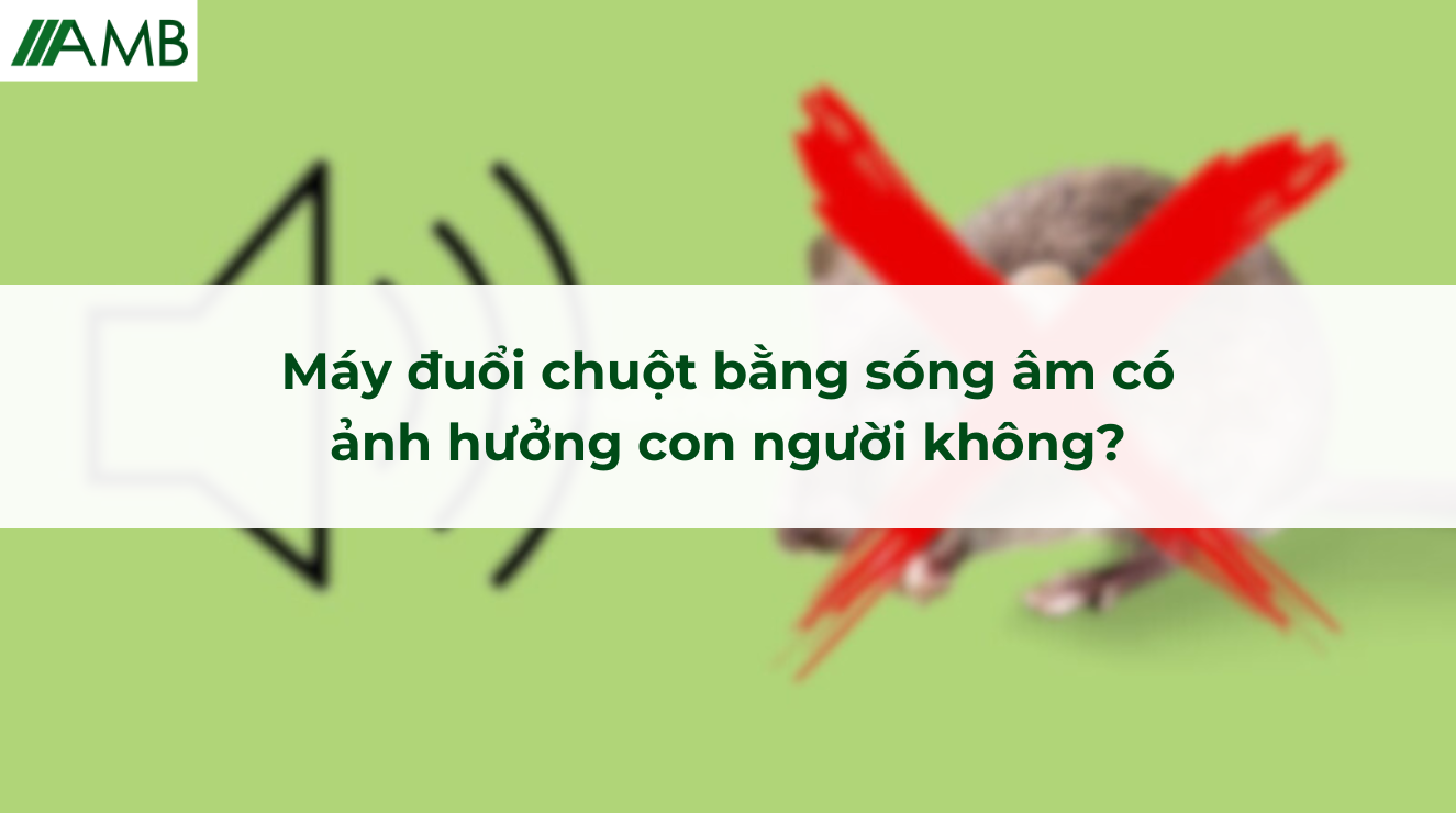 Máy đuổi chuột bằng sóng âm có ảnh hưởng con người không