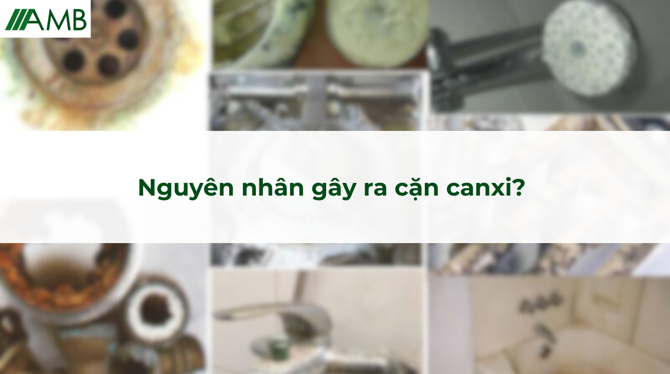 Nguyên nhân gây ra cặn canxi