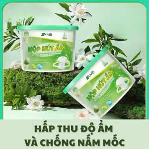 Hấp thụ độ ẩm và chống nấm mốc