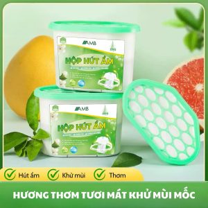 Hương thơm tươi mát khử mùi mốc