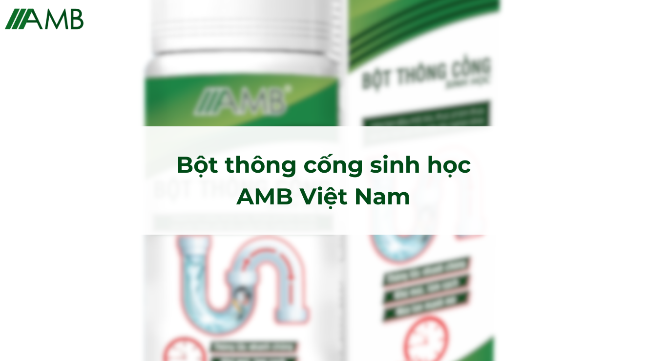 Bột thông cống sinh học AMB Việt Nam
