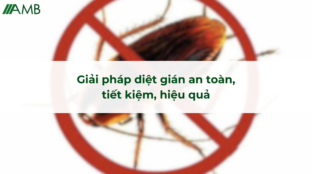 Giải pháp diệt gián an toàn, tiết kiệm, hiệu quả