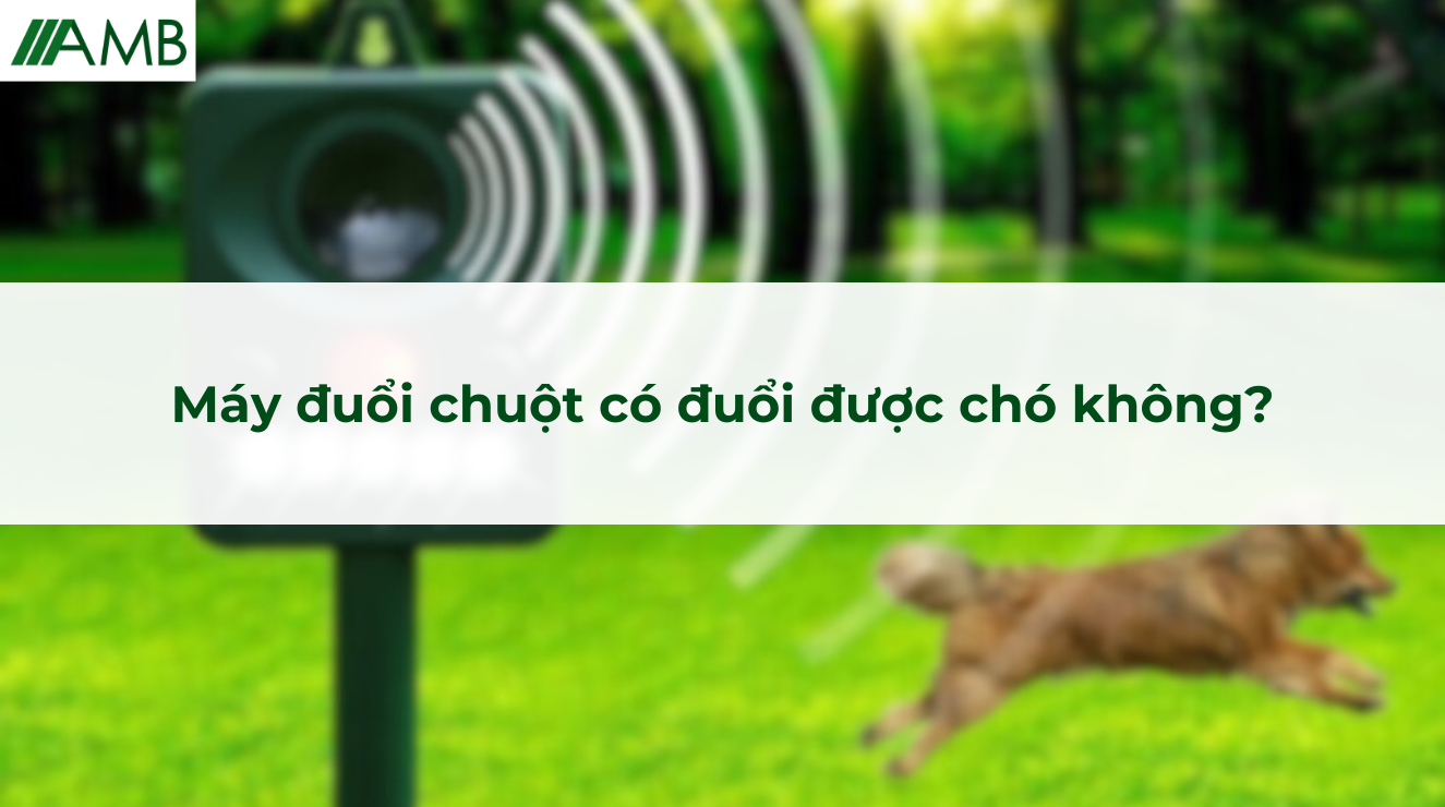 Máy đuổi chuột có đuổi được chó không?