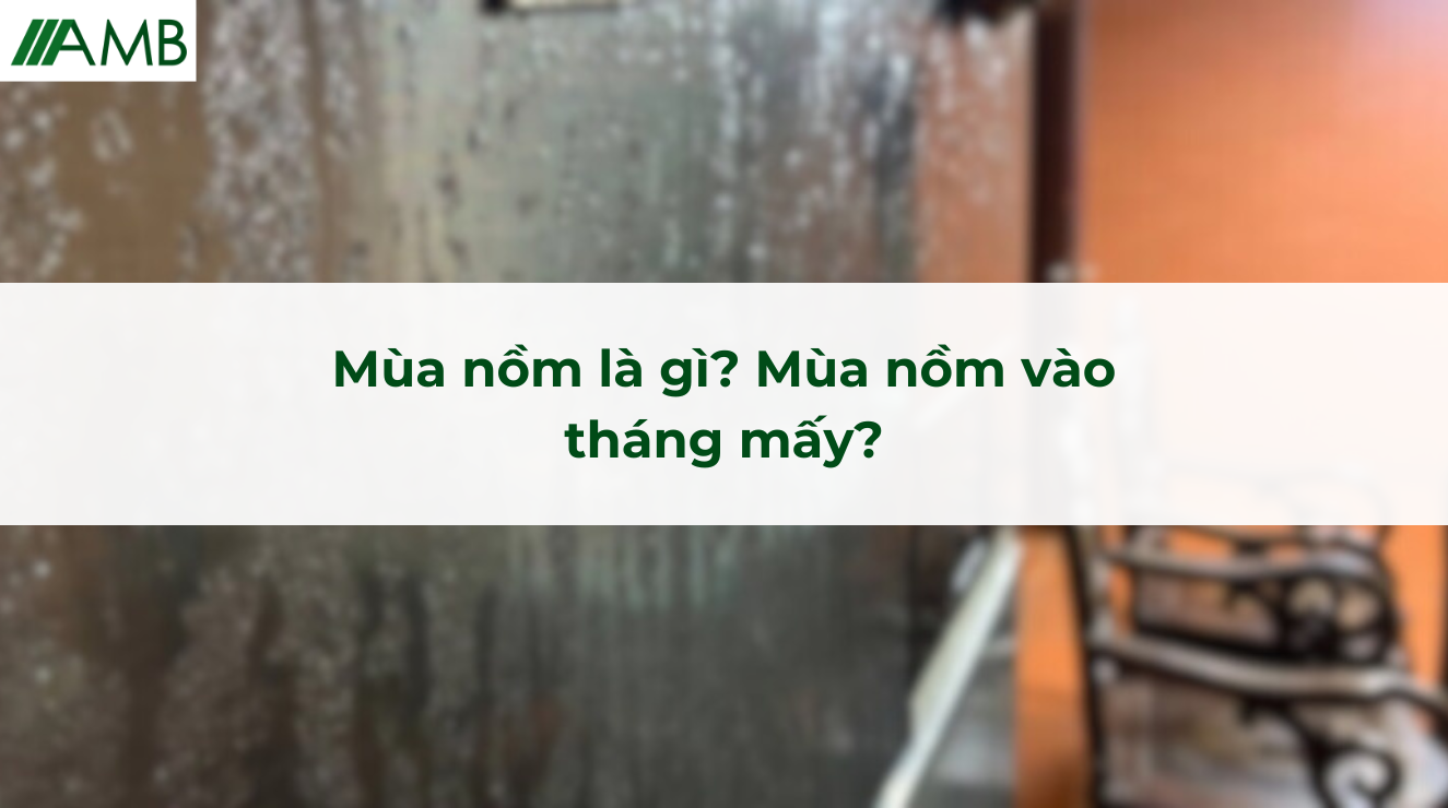 Mùa nồm là gì? Mùa nồm vào tháng mấy?