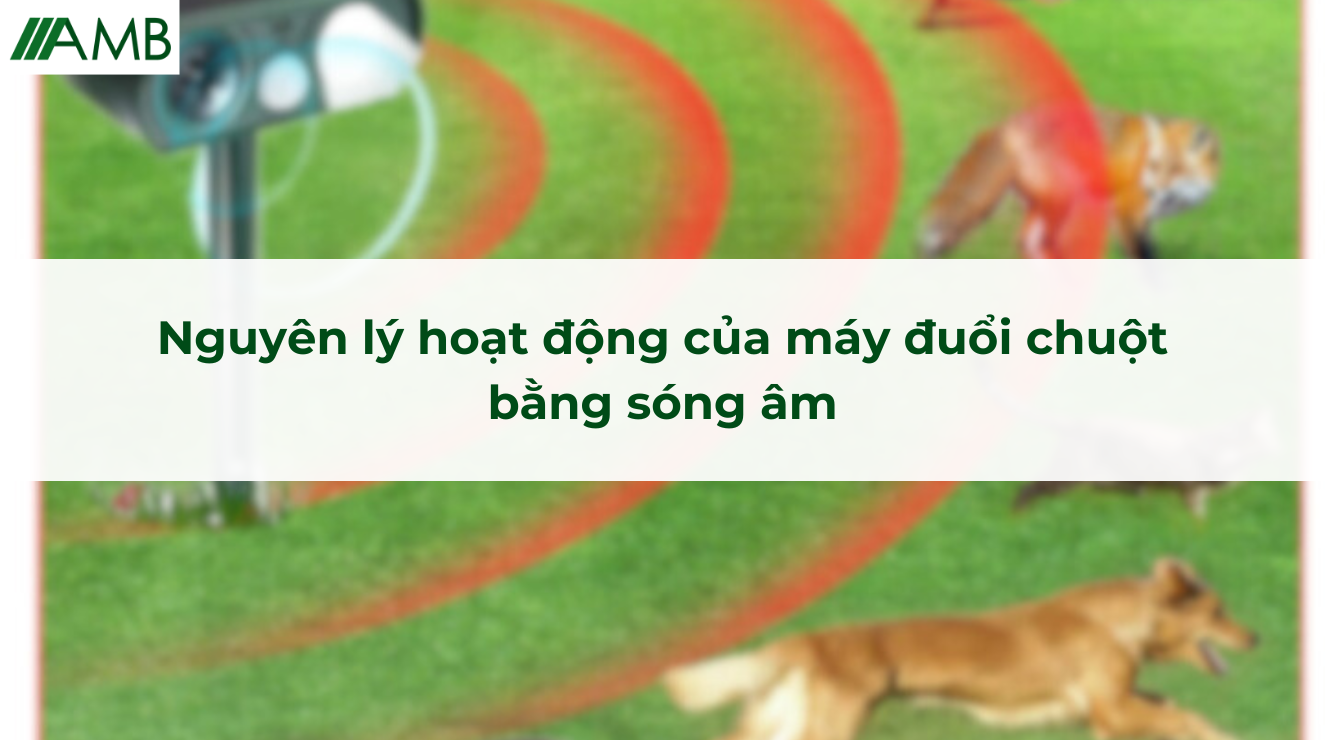 Nguyên lý hoạt động của máy đuổi chuột bằng sóng âm