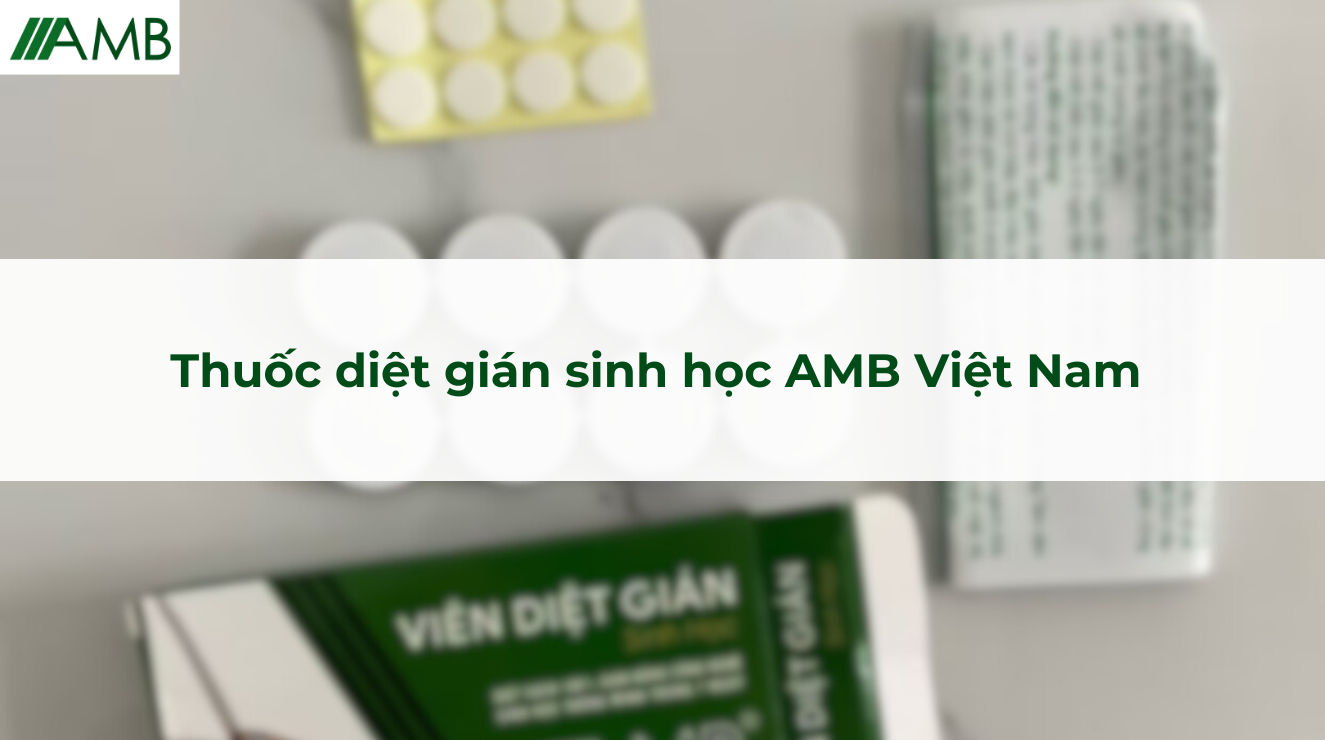 Thuốc diệt gián sinh học AMB Việt Nam