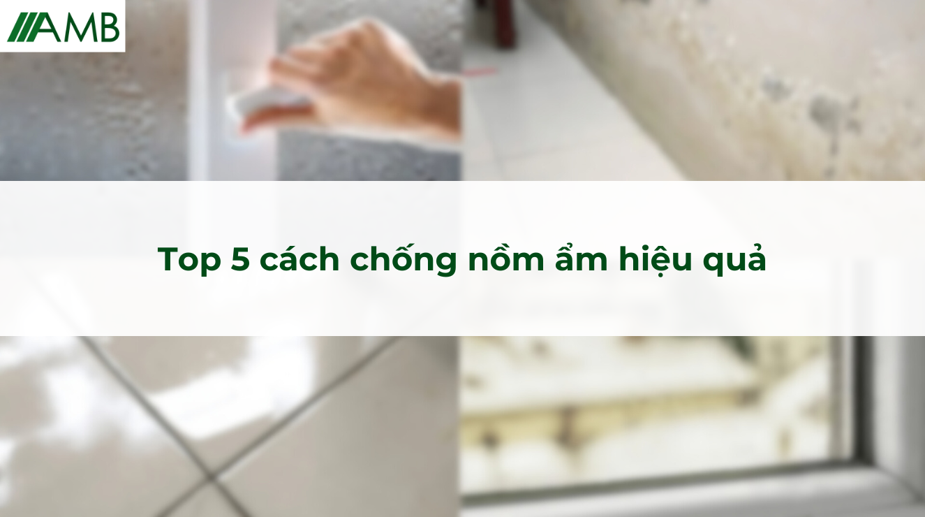 Top 5 cách chống nồm ẩm hiệu quả