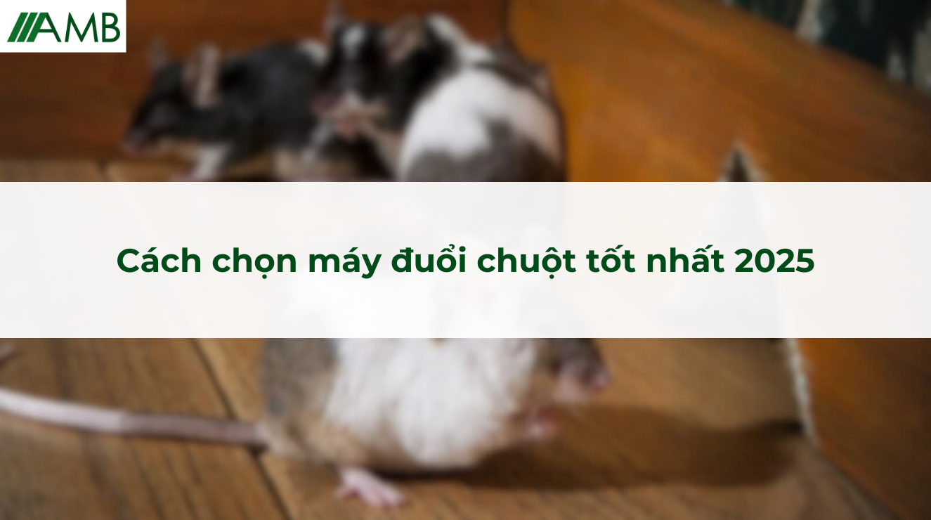 Cách chọn máy đuổi chuột tốt nhất 2025