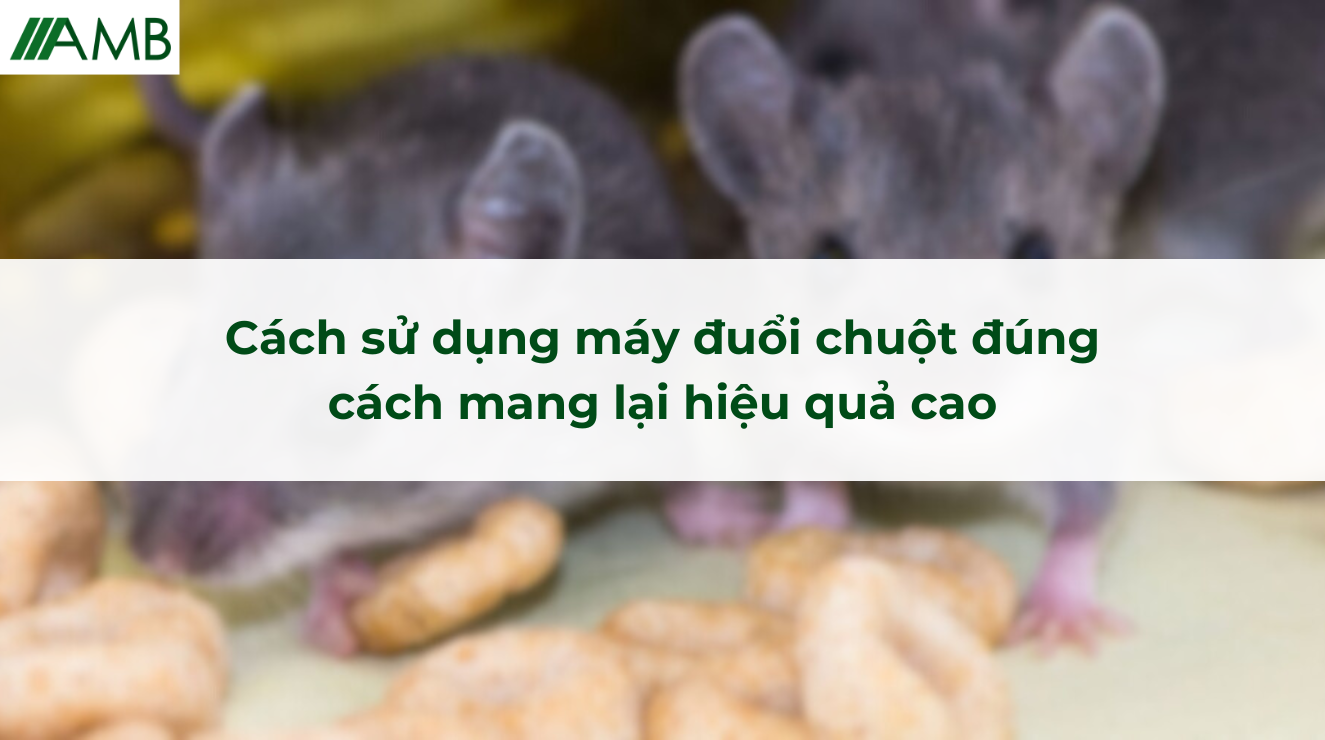 Cách sử dụng máy đuổi chuột đúng cách mang lại hiệu quả cao