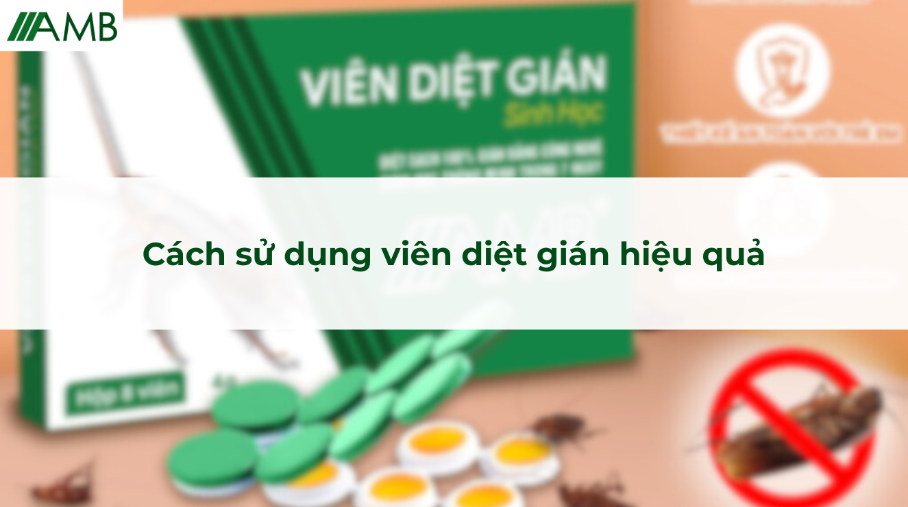 Cách sử dụng viên diệt gián hiệu quả