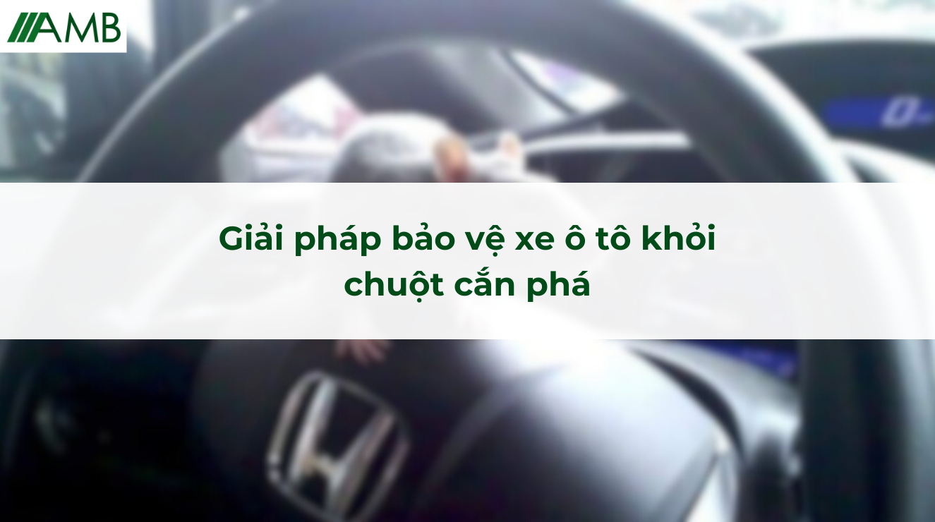Giải pháp bảo vệ xe ô tô khỏi chuột cắn phá