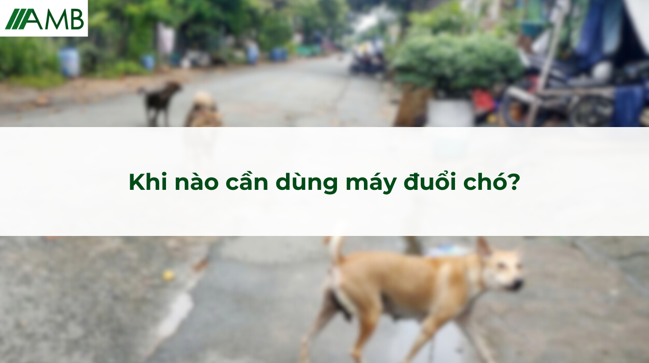 Khi nào cần dùng máy đuổi chó