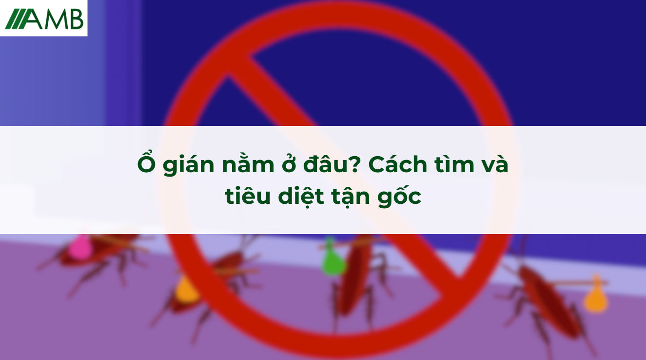 Ổ gián nằm ở đâu? Cách tìm và tiêu diệt tận gốc