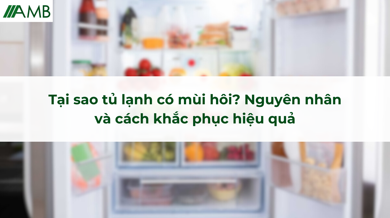 Tại sao tủ lạnh có mùi hôi? Nguyên nhân và cách khắc phục hiệu quả