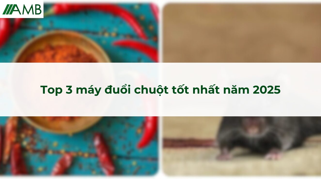 Top 3 máy đuổi chuột tốt nhất năm 2025