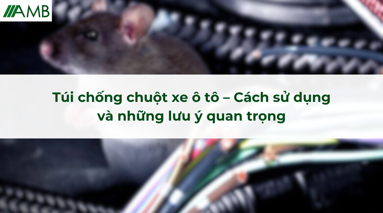 Túi chống chuột xe ô tô – Cách sử dụng và những lưu ý quan trọng