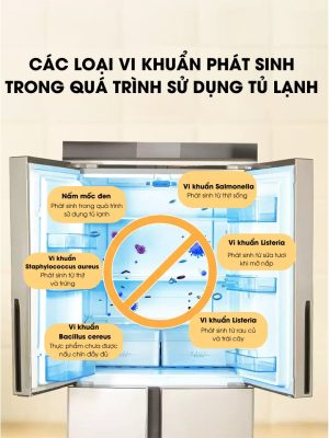 Các loại vi khuẩn phát sinh trong quá trình sử dụng tủ lạnh